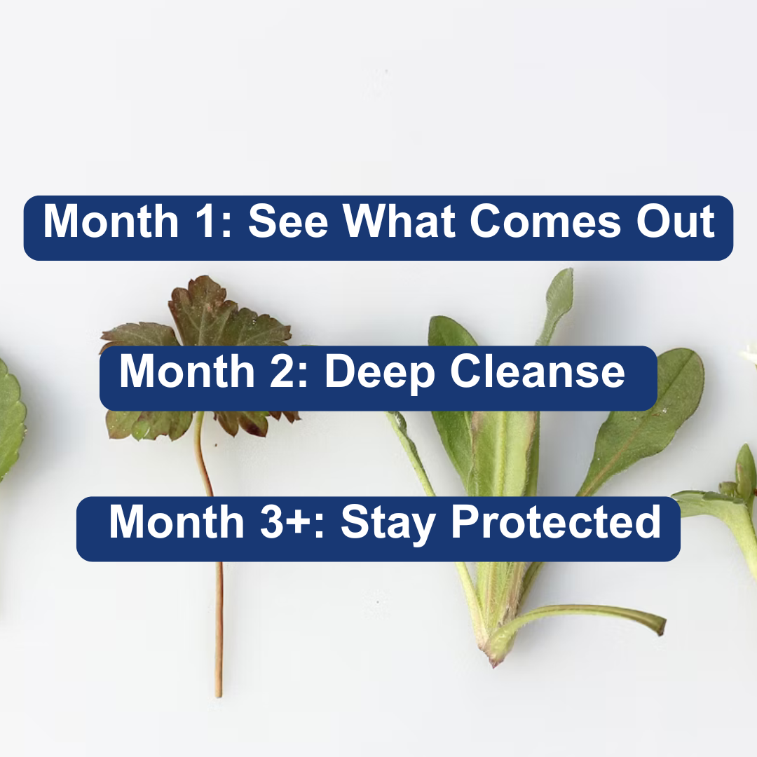 The Viral Gut Cleanse - v1.2 - $49